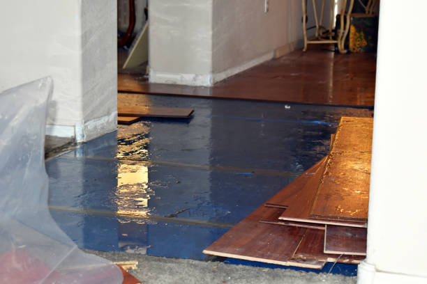 Professional Water Damage Repair technician working in Runge, TX